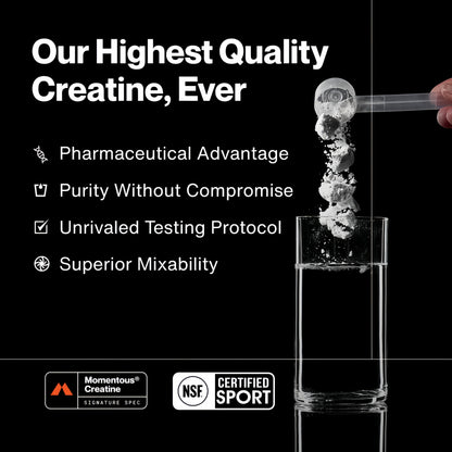 Creatine - 90/60 Servings